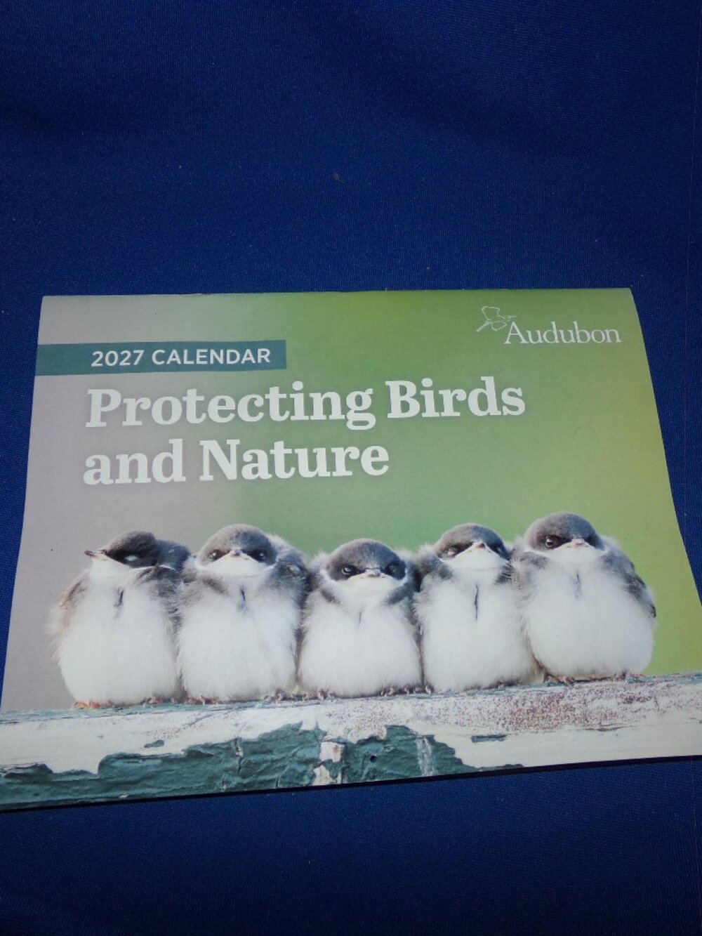 New! Audubon  Protecting Birds & Nature Color Calendar - 12 Month - 2027